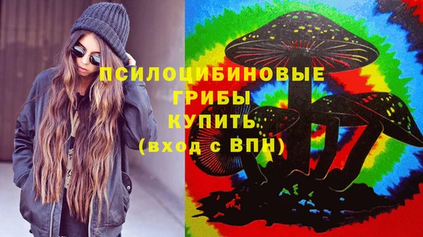 таблы Белокуриха