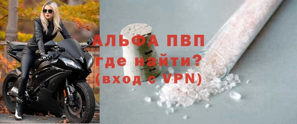 стаф Баксан