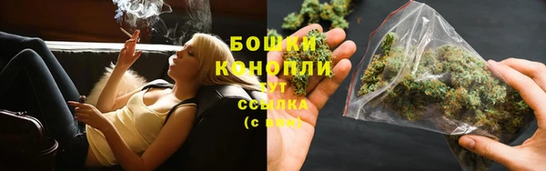 гидра Белоозёрский