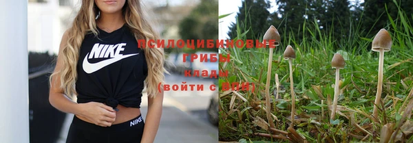 стаф Баксан