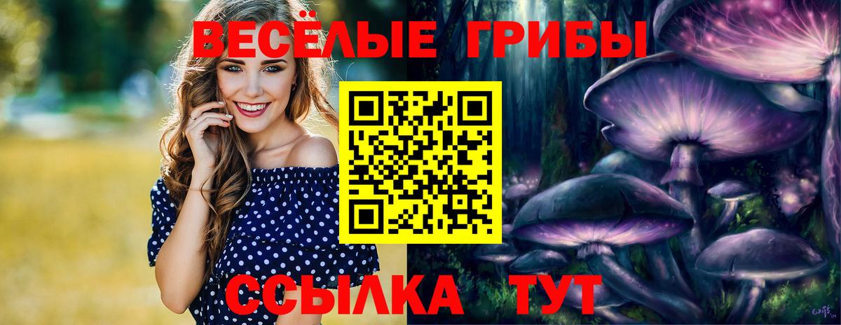 Псилоцибиновые грибы мухоморы Кизилюрт