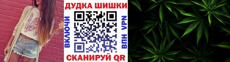 продажа наркотиков  Кизилюрт  Конопля план 